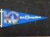 画像1: ct-150825-13 Walt Disney World / 10th Anniversary 80's Pennant (1)