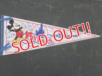 ct-150825-14 Mickey Mouse / Walt Disney World 15 years 80's Pennant