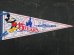 画像1: ct-150825-14 Mickey Mouse / Walt Disney World 15 years 80's Pennant (1)