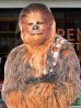 画像2: ct-150602-74 Chewbacca / 1995 Cardboard Display (2)