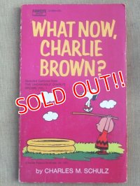bk-131029-01 PEANUTS / 1972 Comic "WAHT NOW,CHARLIE BROWN?"