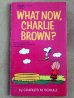 画像1: bk-131029-01 PEANUTS / 1972 Comic "WAHT NOW,CHARLIE BROWN?" (1)