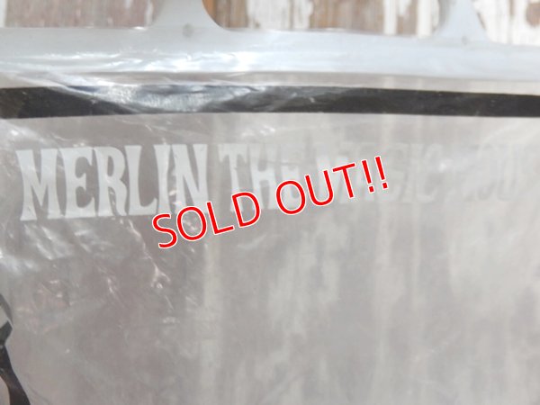 画像8: ct-150922-11 Merlin the Magic Mouse / R.DAKIN 70's Figure