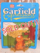 ct-150922-54 Garfield / 80's PVC "with Pooky"
