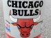 画像2: dp-151017-01 CHICAGO BULLS / 1991 Trash Can (2)