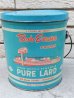 画像1: dp-151104-04 Bob Evans / 50's Lard Can (1)