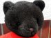 画像2: ct-151104-14 OHIO STATES / Bear Plush Doll (2)