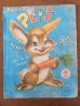 画像1: ct-151104-12 Vintage Cloth Book "BABY'S PETS" (1)