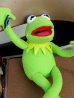 画像5: ct-151118-21 Kermit / Applause 90'sPlush Doll (5)