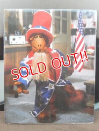 ct-151208-48 ALF / 80's mini Poster (C)