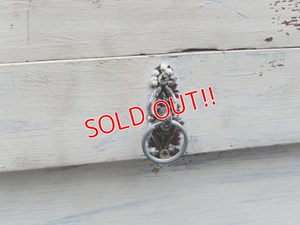 画像10: dp-150902-01 Vintage Showcase