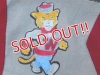 dp-160120-25 WSU / Vintage College Pennant