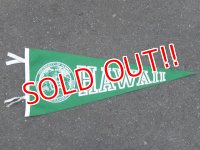 dp-160203-05 College Pennant "HAWAII"