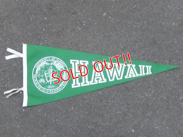 画像1: dp-160203-05 College Pennant "HAWAII"