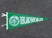 画像1: dp-160203-05 College Pennant "HAWAII" (1)