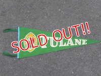 dp-160203-07 College Pennant "TULANE"