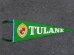 画像1: dp-160203-07 College Pennant "TULANE" (1)