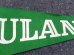 画像3: dp-160203-07 College Pennant "TULANE" (3)