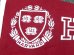 画像2: dp-160203-06 College Pennant "HARVARD" (2)