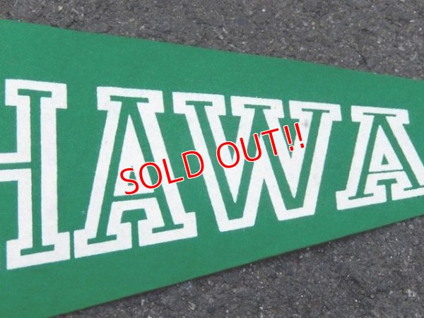 画像3: dp-160203-05 College Pennant "HAWAII"