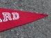 画像4: dp-160203-06 College Pennant "HARVARD" (4)