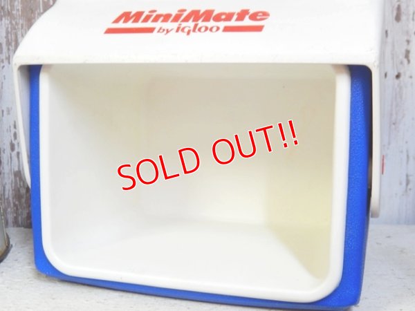 画像9: dp-162011-05 igloo / MiniMate Coolerbox