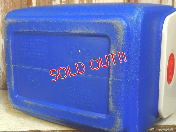画像10: dp-162011-05 igloo / MiniMate Coolerbox