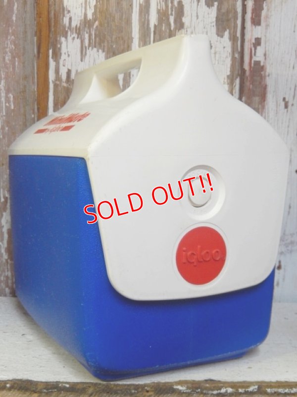 画像3: dp-162011-05 igloo / MiniMate Coolerbox