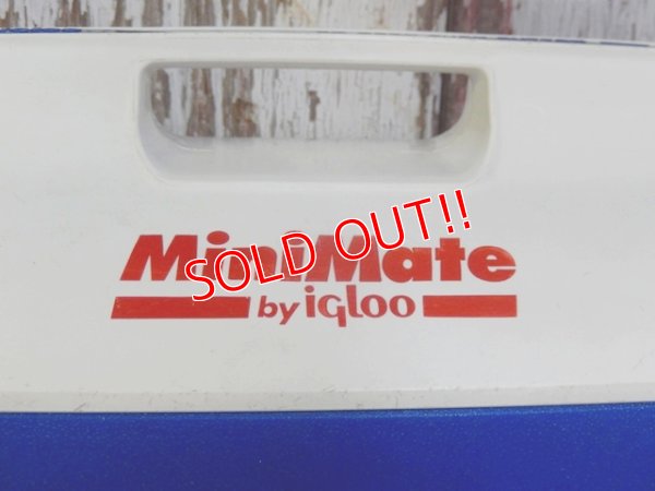 画像2: dp-162011-05 igloo / MiniMate Coolerbox