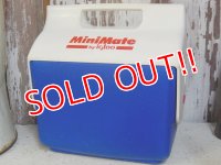 dp-162011-05 igloo / MiniMate Coolerbox