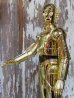 画像4: ct-160215-10 C-3PO / Kenner 1978 12" Figure