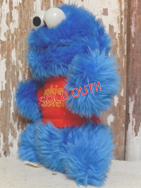 画像2: ct-160320-02 Cookie Monster / Knickerbokcer 80's Plush Doll
