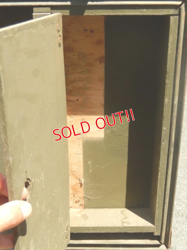 画像7: dp-160501-10 Vintage Trunk