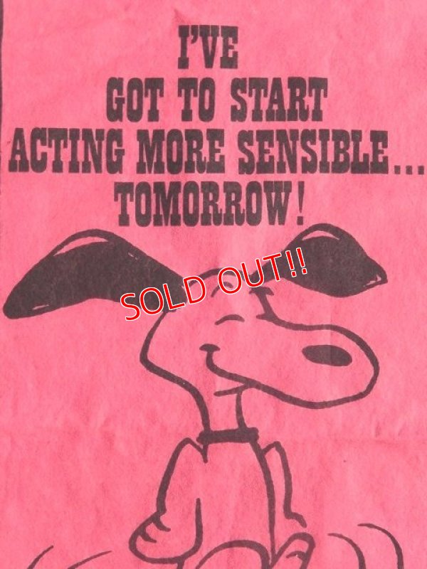 画像2: ct-160519-11 PEANUTS / 60's Banner "Snoopy" Pink