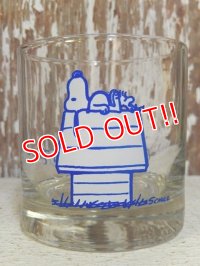 gs-160519-01 Snoopy / 70's Glass "This has been a good day!"