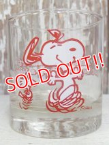 gs-160603-04 Snoopy / 70's Glass "This has been a good day!"
