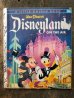 画像1: bk-160706-15 Walt Disney's Disneyland On The Air / 50's Picture Book (1)