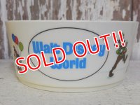 ct-160716-06 Walt Disney World / 70's Plastic Bowl