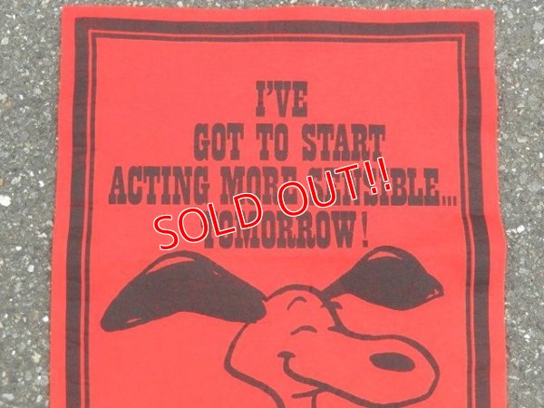 画像2: ct-160721-02 PEANUTS / 70's Banner "Snoopy" Red