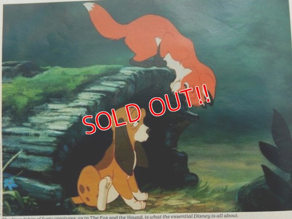 画像8: ct-160901-12 LIFE Magazine / November 1978 Mickey Mouse