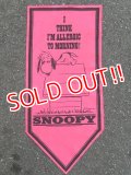 ct-160901-37 PEANUTS / 60's Banner "Snoopy" Pink