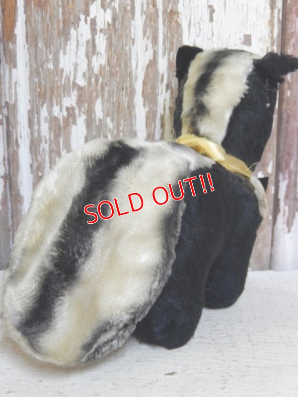 画像4: ct-161101-05 1950's College Mascot Doll "PU"