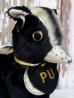 画像2: ct-161101-05 1950's College Mascot Doll "PU" (2)