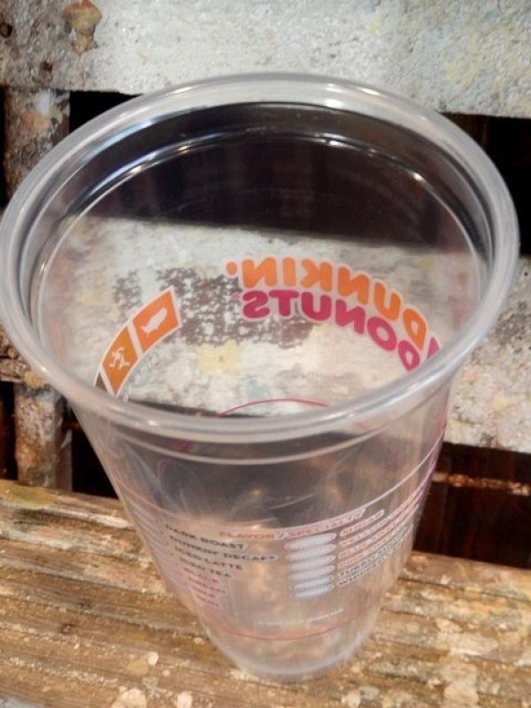 画像4: dp-170111-08 DUNKIN' DONUTS / Plastic Cup (L)