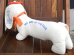 画像6: ct-170301-12 New York World's Fair / 1964-1965 Dachshund Doll