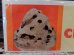 画像3: dp-161218-16 Vintage Poster "Crispy Chocolate Chip Ice Cream" (3)