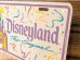 画像3: ct-170401-02 Disneyland / 1990's License Plate (3)