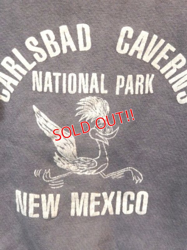 画像2: dp-170305-04 Vintage Kid's Sweat "Carlsbad Caverns National Park"