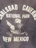 画像2: dp-170305-04 Vintage Kid's Sweat "Carlsbad Caverns National Park" (2)