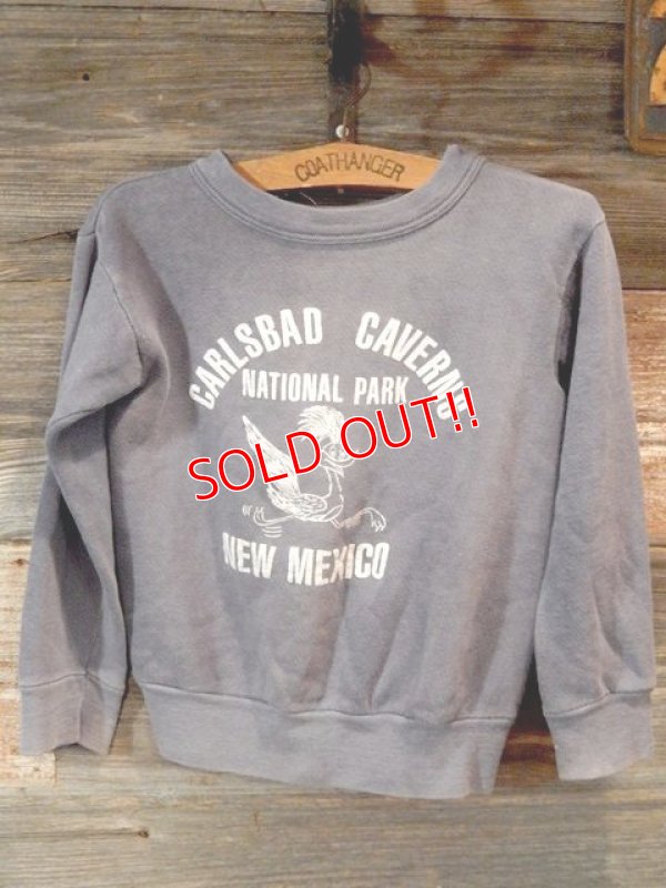 画像1: dp-170305-04 Vintage Kid's Sweat "Carlsbad Caverns National Park"